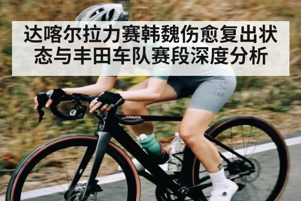 达喀尔拉力赛韩魏伤愈复出状态与丰田车队赛段深度分析